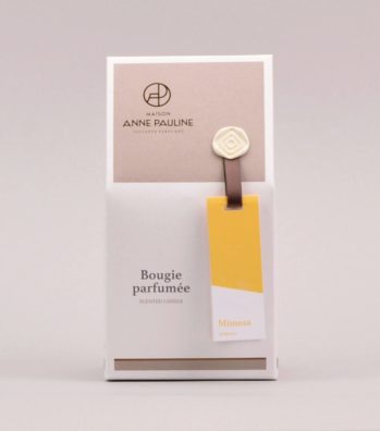 Bougie Mimosa